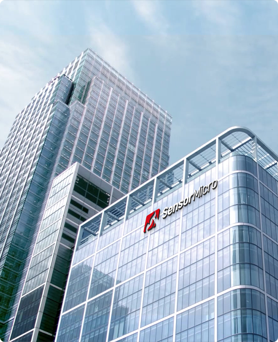 芯火微电子介绍