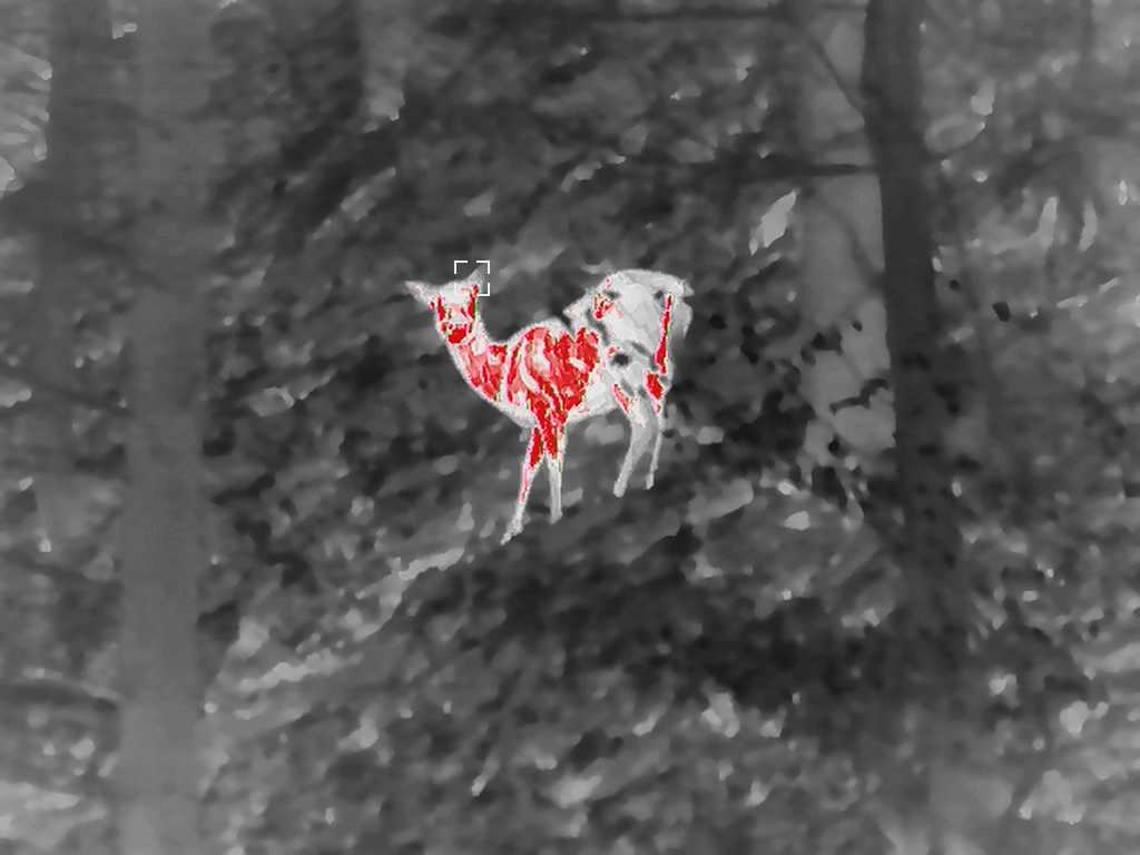 踏入紅外熱成像世界，暢享休閑娛樂(lè)的“熱”趣狂歡！