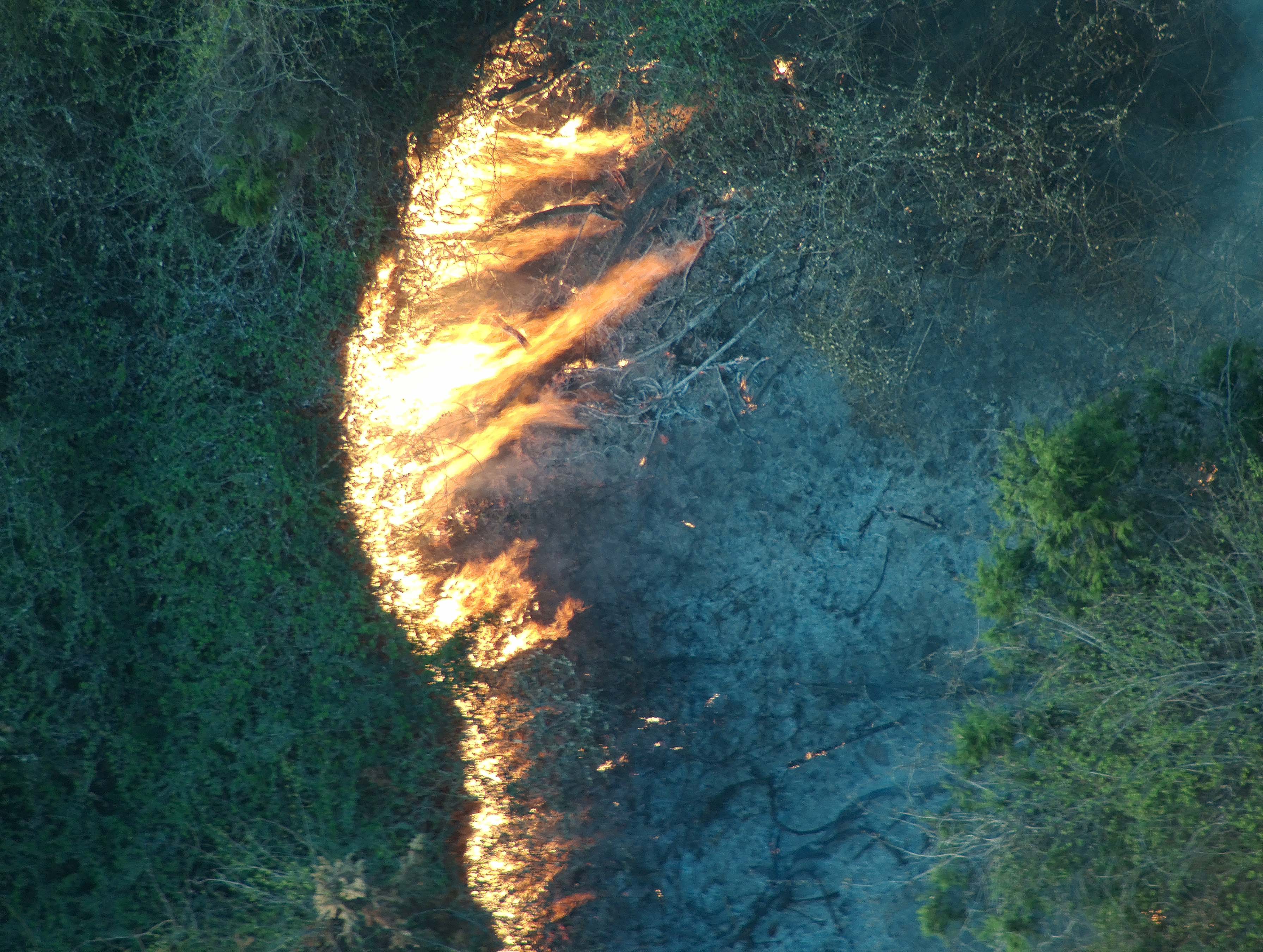 见烟即警，火起可控：红外热成像如何守护万顷林海？