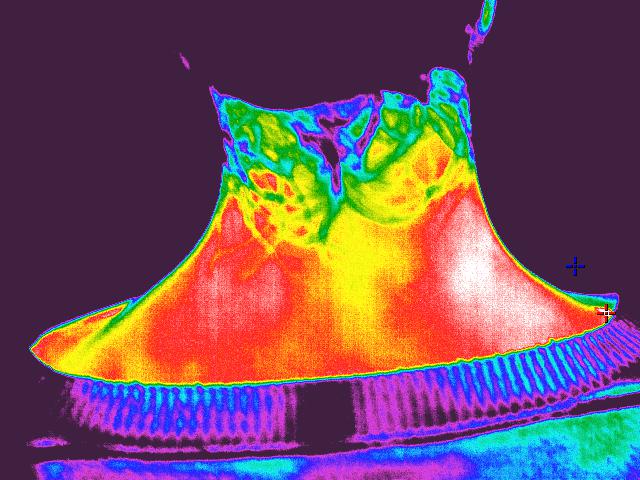 人体医学研究 人体医学研究