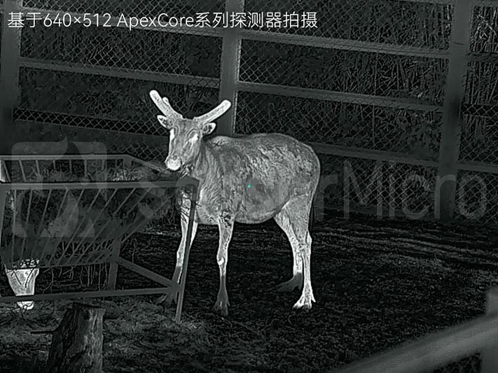 ApexCore系列探测器拍摄