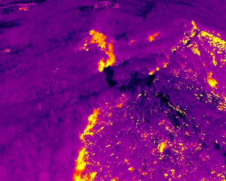 森林防火 (2) 森林防火 (2)